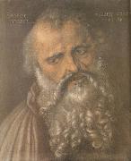 Albrecht Durer Head of the Apostle Philip oil painting reproduction